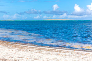 Sakalava Strand, Oronjia Nationalpark, Antsiranana, Diego Suarez, Madagaskar, Afrika, Indischer Ozean Sakalava Strand, Oronjia Nationalpark, Antsiranana, Diego Suarez, Madagaskar, Afrika, Indischer Ozean